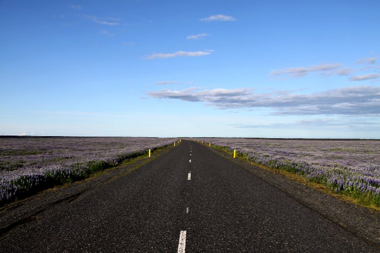 Route numéro 1 - Islande