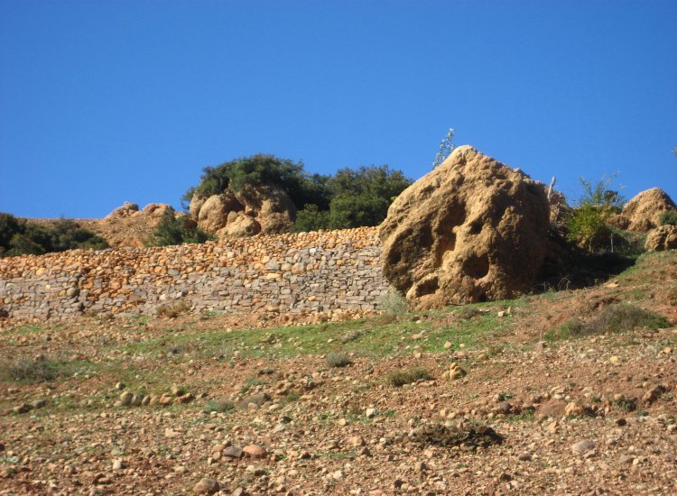 Tamga Maroc - reiki-formation