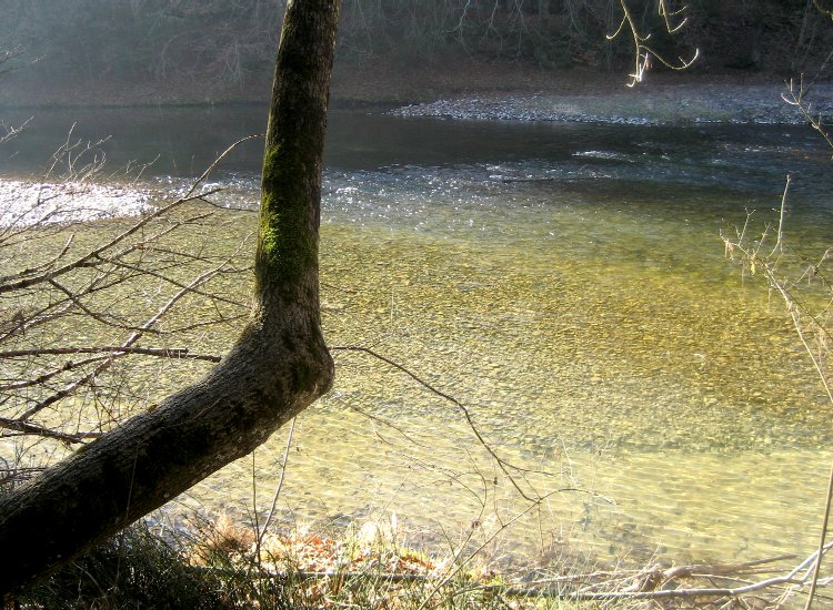 Reiki - Les eaux frétillantes de la Sarine à Hauterive