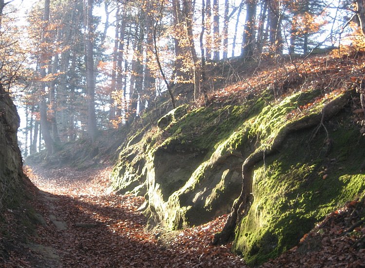 Reiki - Sentier pédestre taillé dans la roche à Hauterive