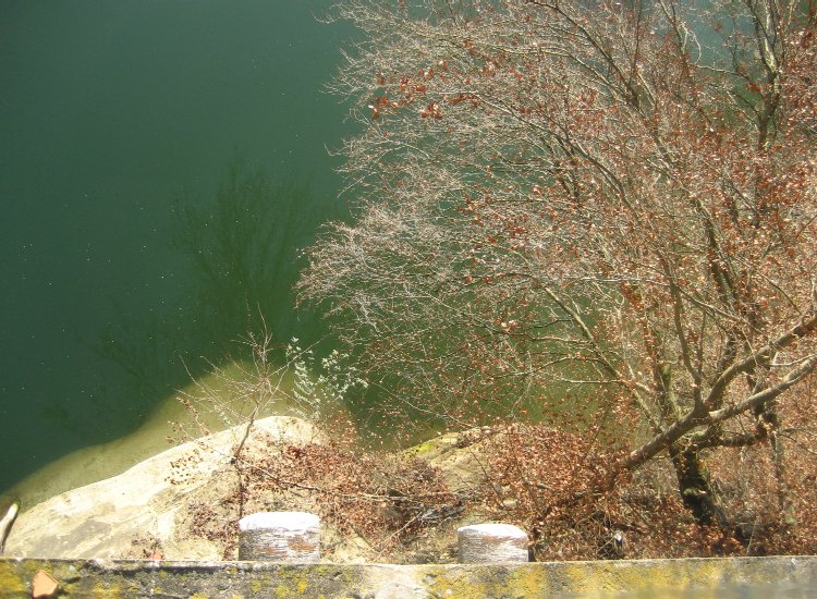 Reiki - Les eaux vertes de la Sarine au pied du pont de Pérolles